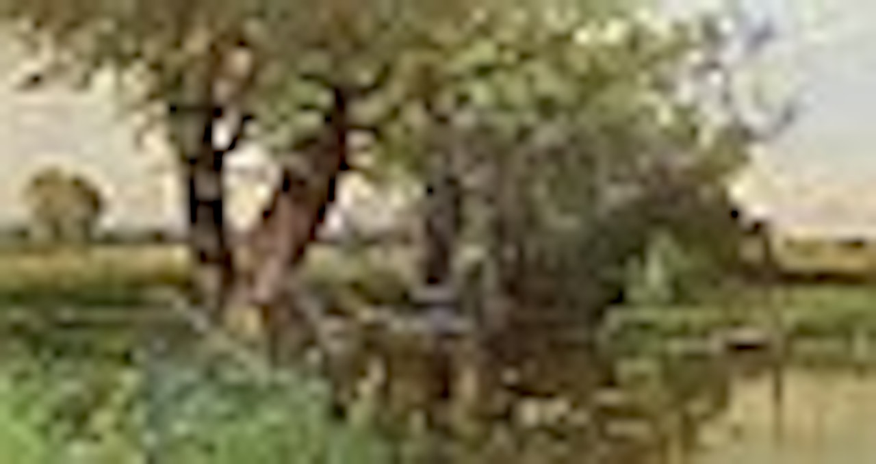 Summer Pond, Southhampton by Alfred Thompson Bricher
