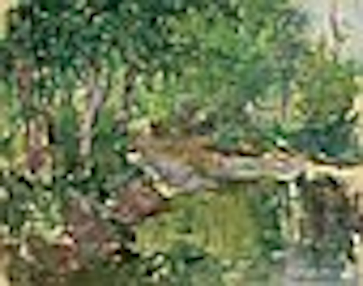 The stream by Willard Leroy Metcalf