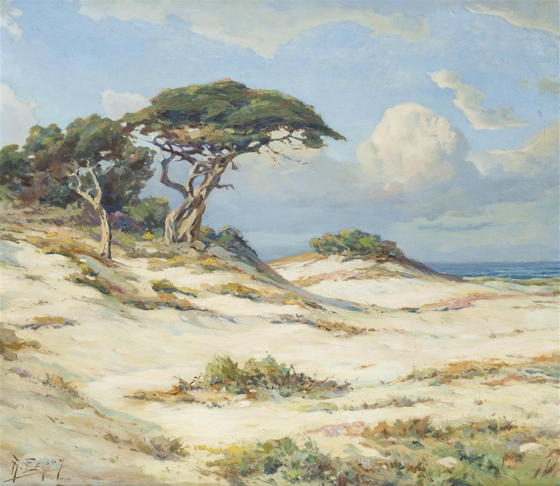 Dunes on the beach by Angel Espoy
