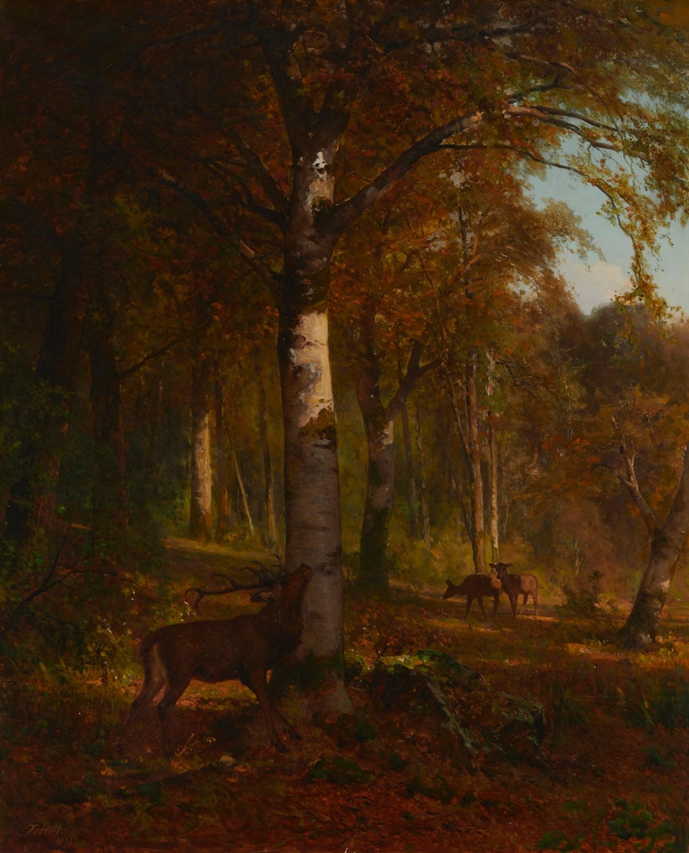 Deer in a landscape by Thomas Hill