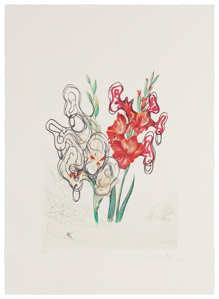 "Gladiolus cum aurium corymbo expectantium," from the "Surrealist Flowers" suite by Salvador Dali