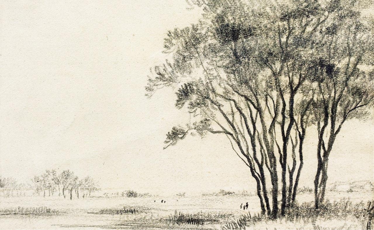 Landscape by Lengyue Tao