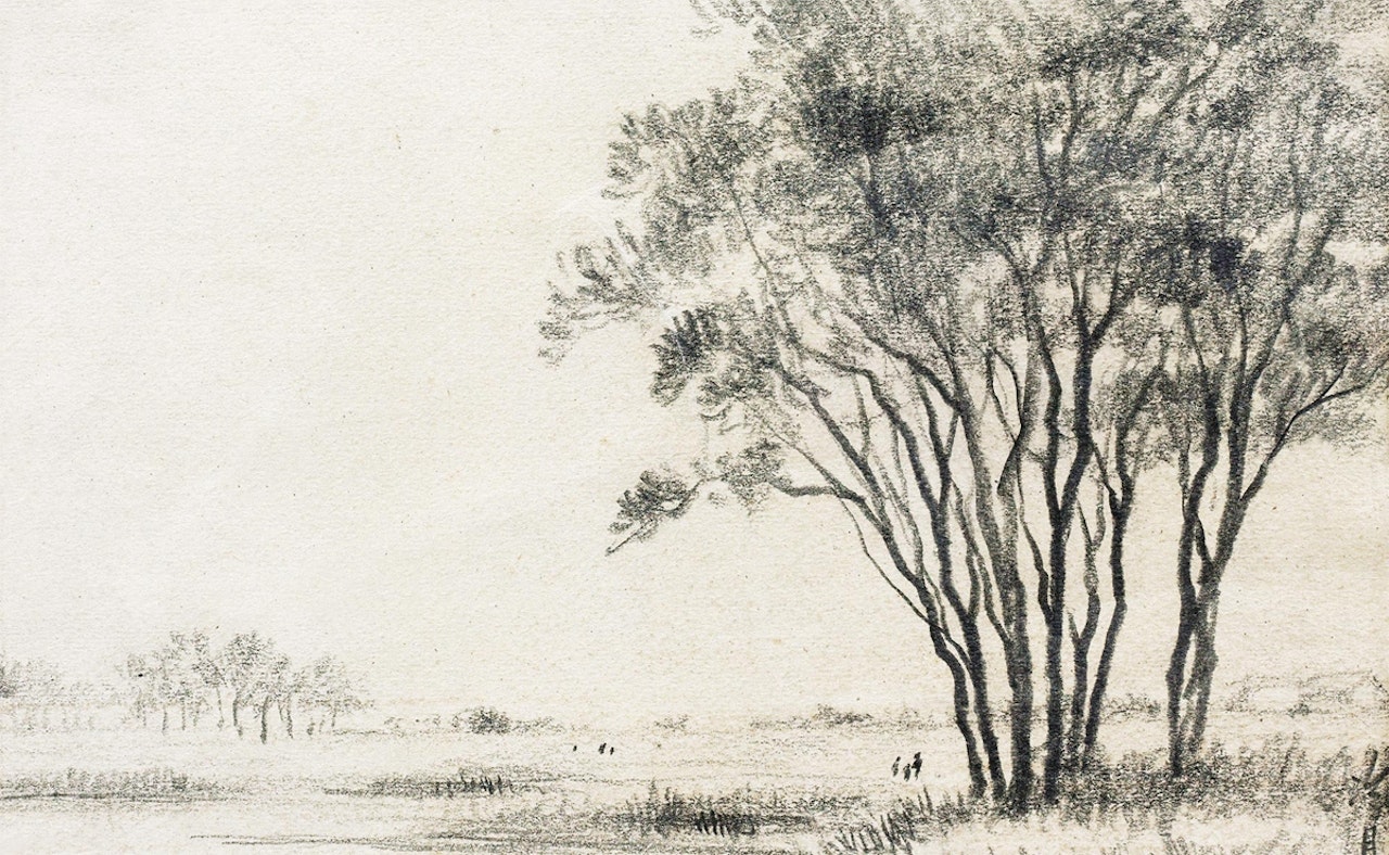 Landscape by Lengyue Tao