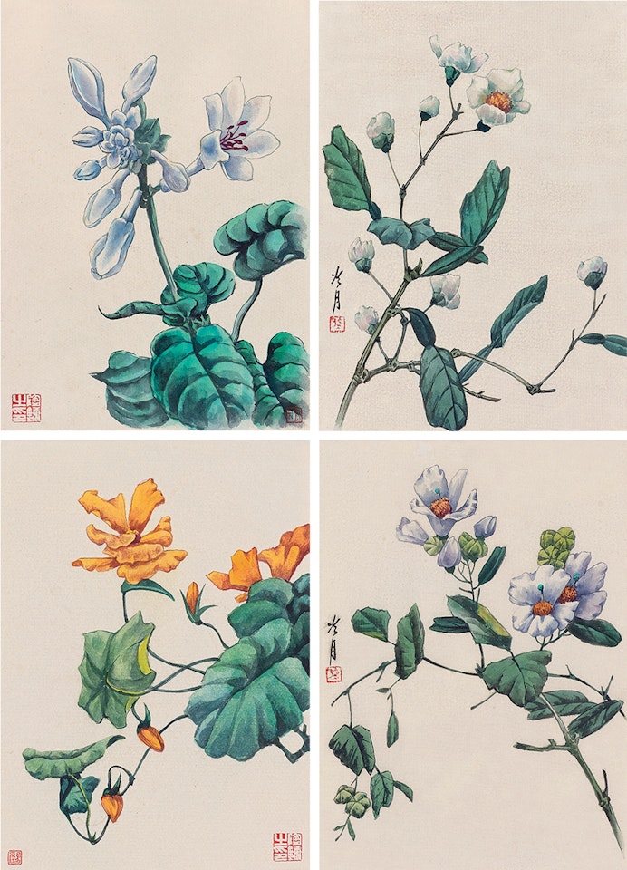 Flowers by Lengyue Tao