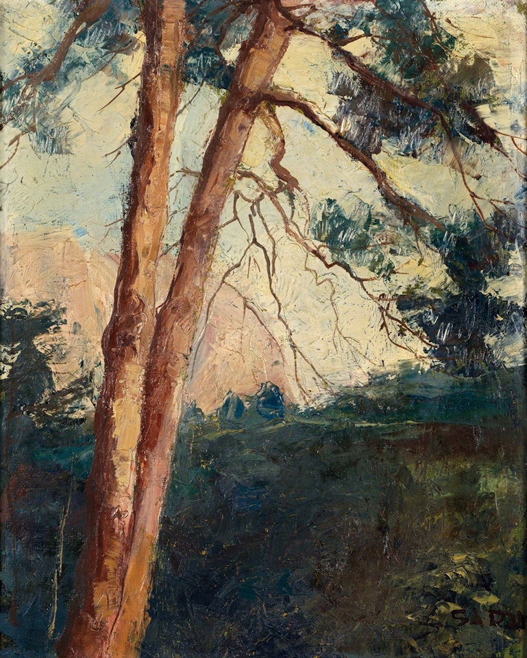 Pine Tree by Sha Qi