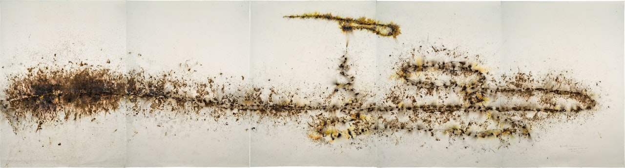 Ye Gong Hao Long (Mr. Ye Who Loves Dragons) by Cai Guo-Qiang