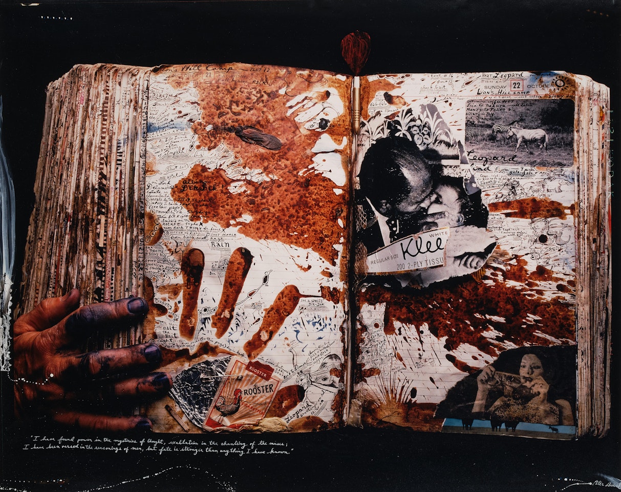 Diary Page by Peter Beard