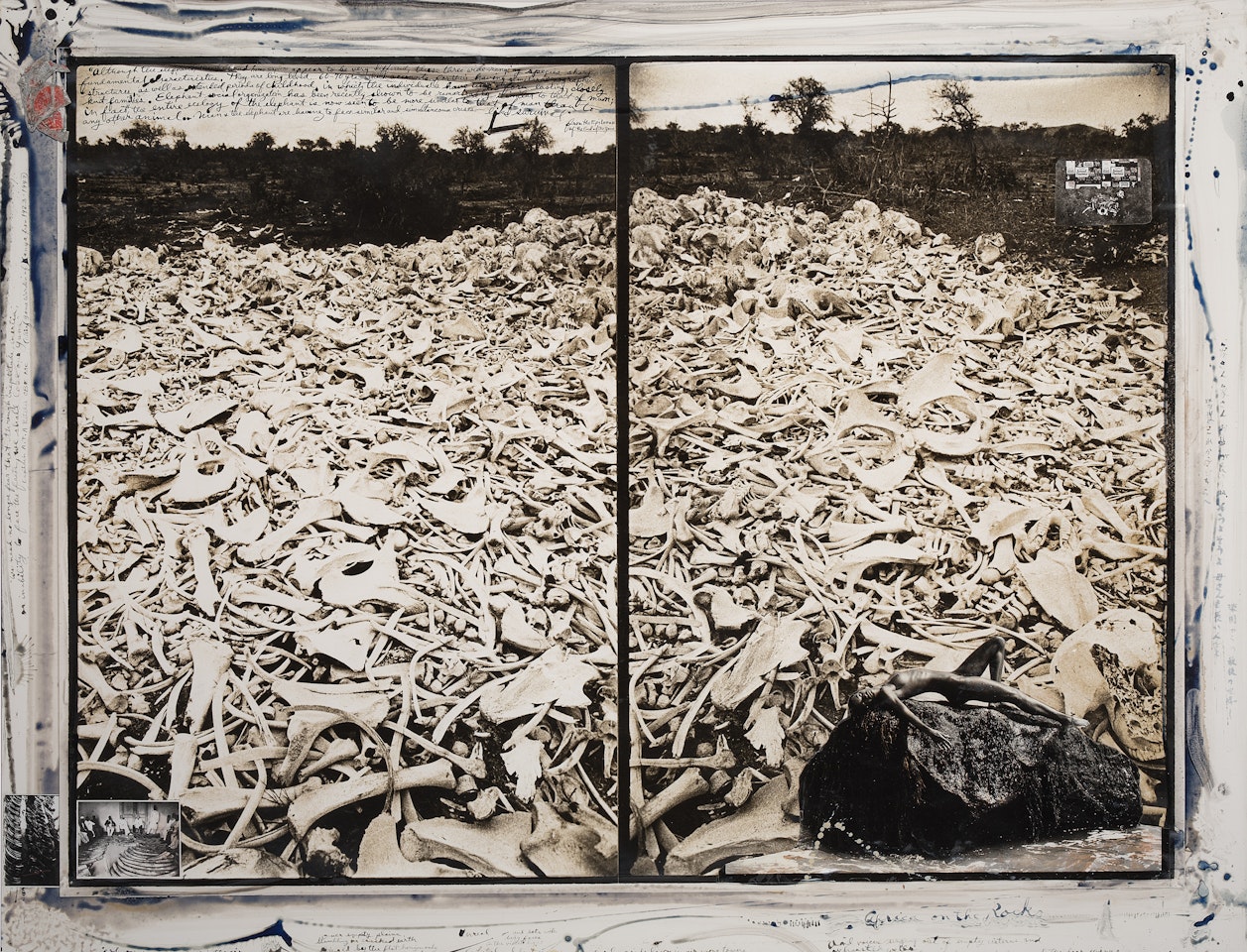 Elephant Bones at Sala Gate, Galana (Tsavo Die-Off) by Peter Beard