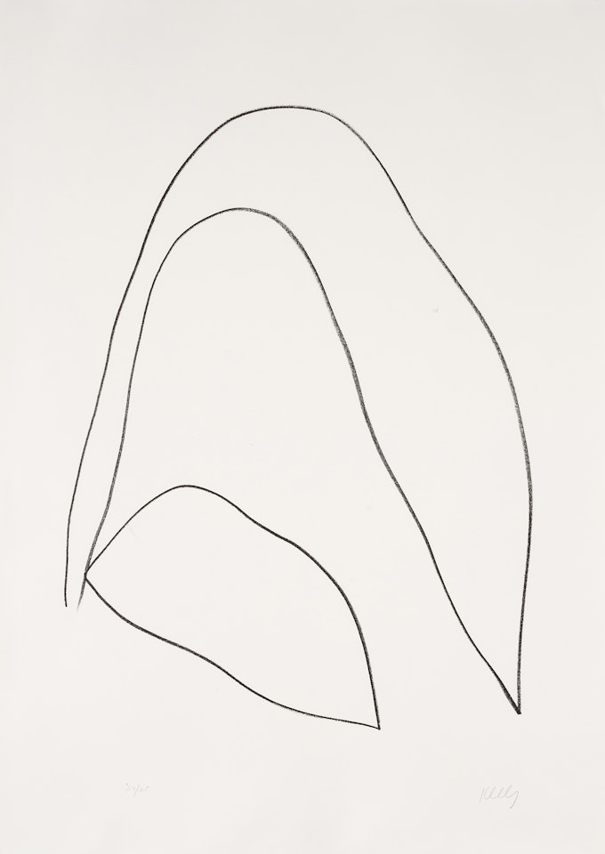 Leaves (Feuille), from Suite of Plant Lithographs by Ellsworth Kelly