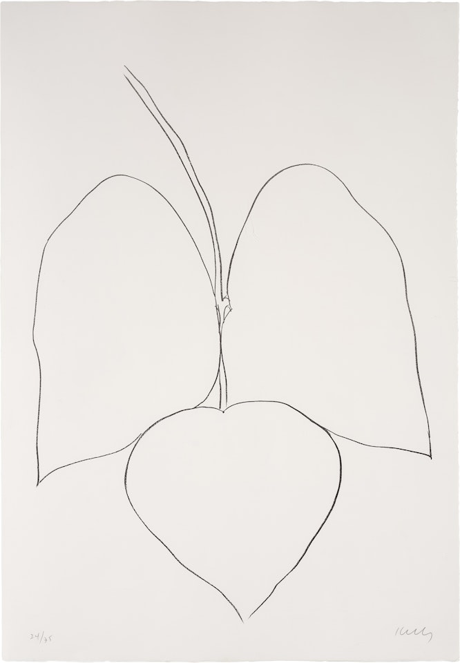 String Beans Leaves III (Haricot Vert III), from Suite of Plant Lithographs by Ellsworth Kelly