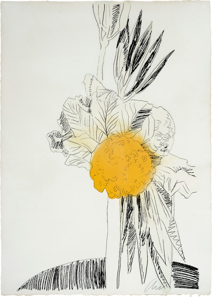 Flowers (Hand-Colored): one print by Andy Warhol