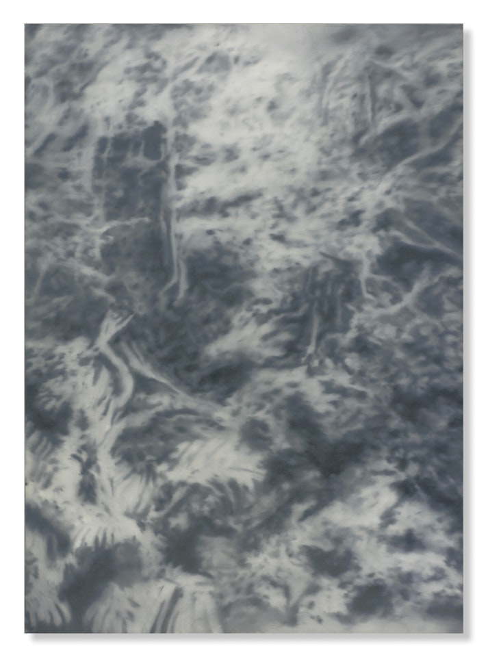 Waldstück (Okinawa) by Gerhard Richter