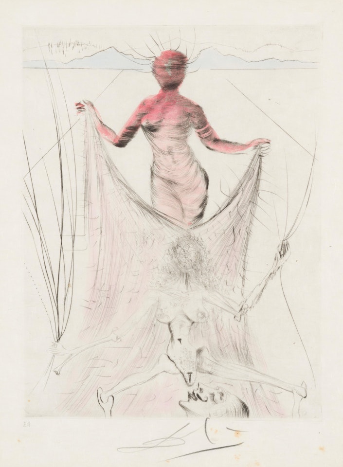 Vénus à la fourrure by Salvador Dali