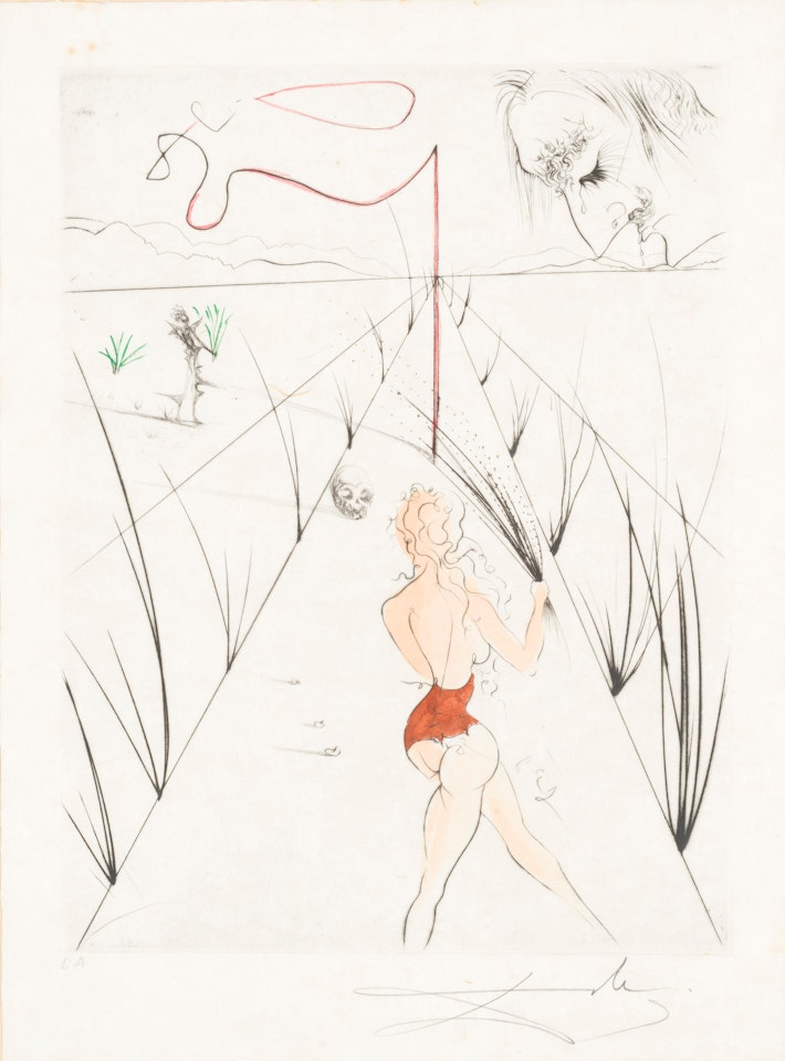 La femme au fouet by Salvador Dali