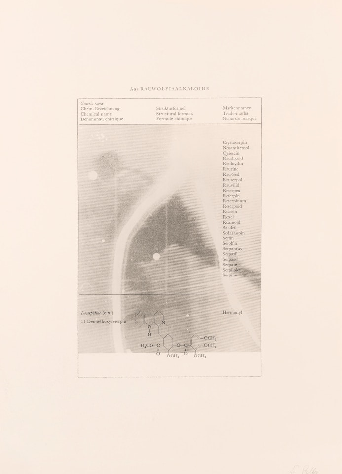 TV Picture Ice Hockey (Rauwolfia alkaloide) by Sigmar Polke