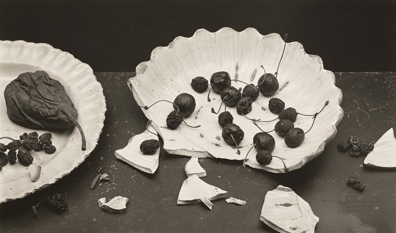 Forgotten Fruit by Irving Penn