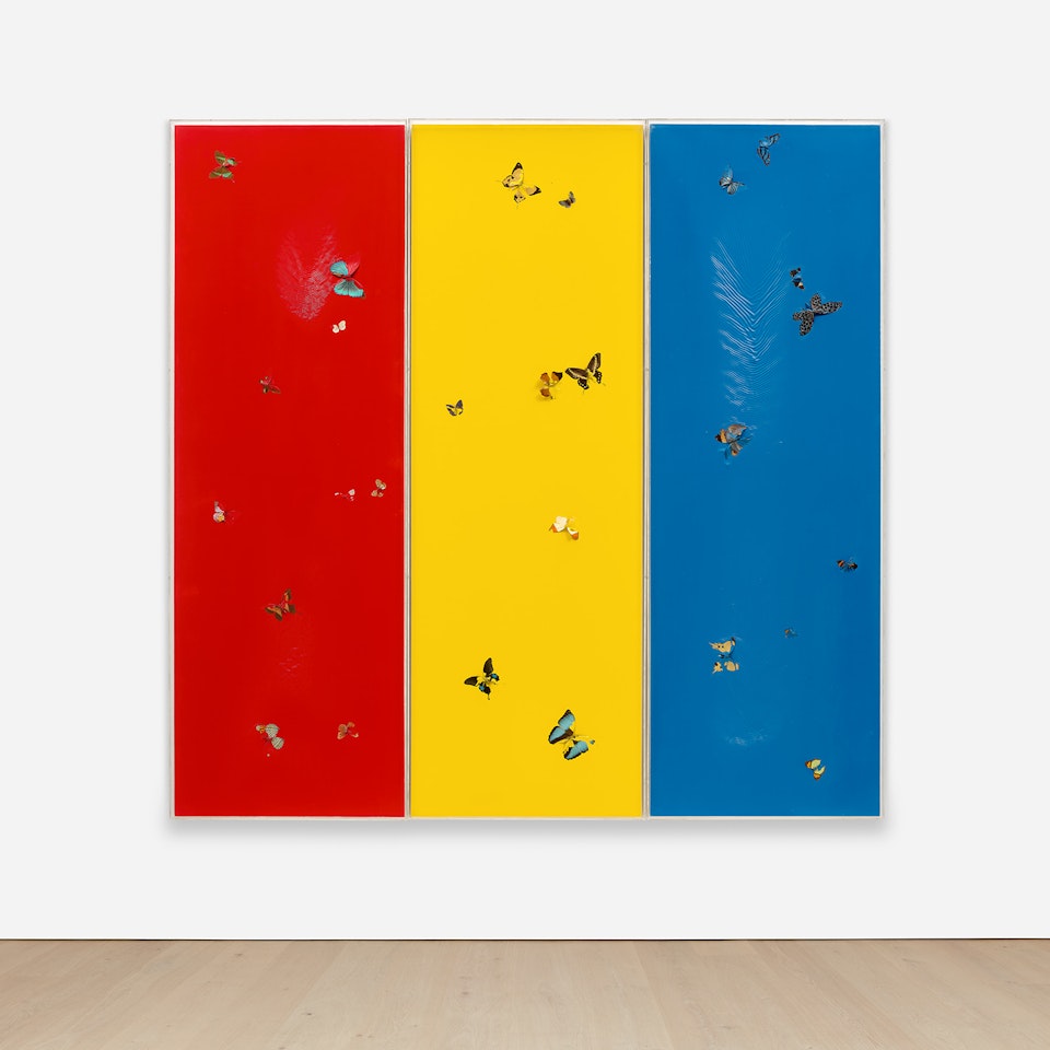 Who’s Afraid of Red, Yellow and Blue? by Damien Hirst