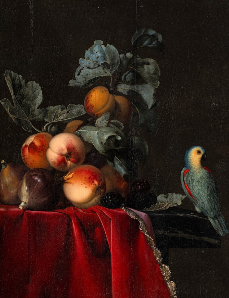 Still Life with Peaches and a Perroquet by Willem van Aelst