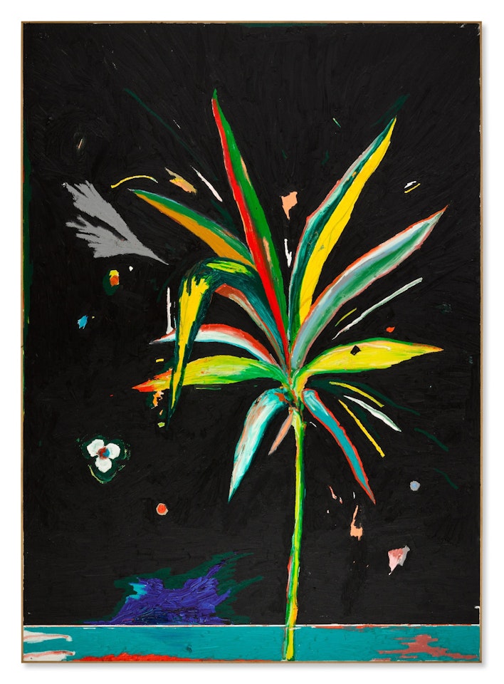 Untitled by Harold Ancart