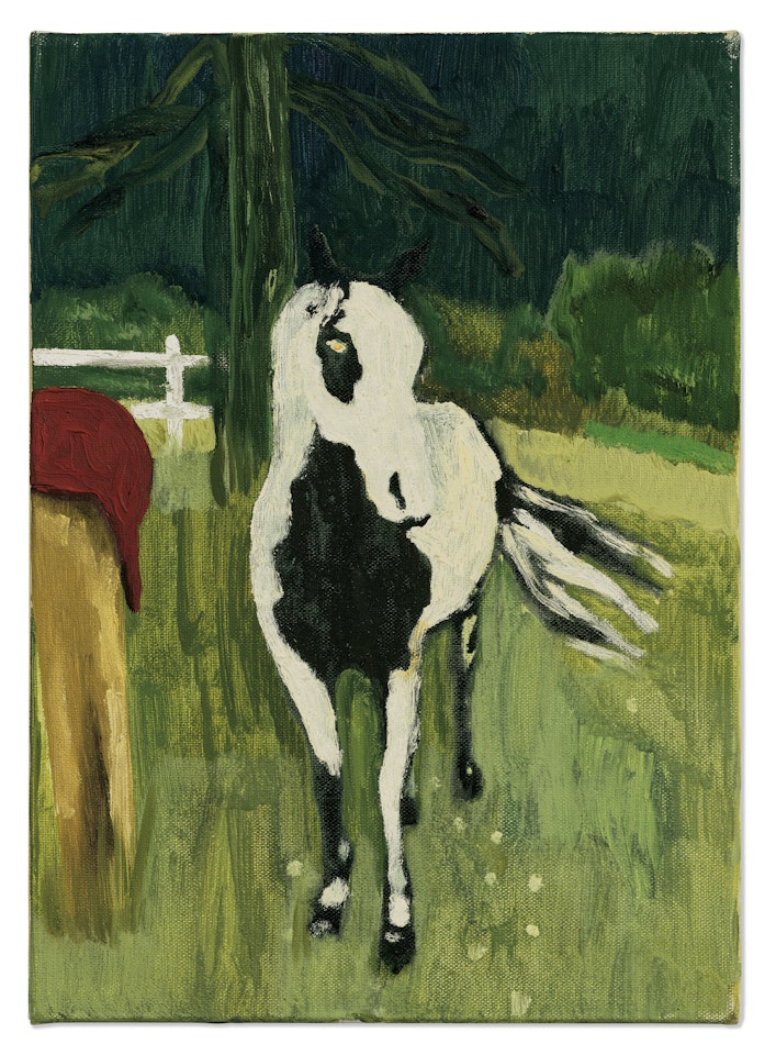 Wall Eyed Pinto by Peter Doig