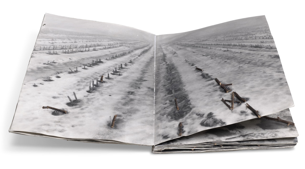 Was sagte Odin zum (What Odin said about...) by Anselm Kiefer