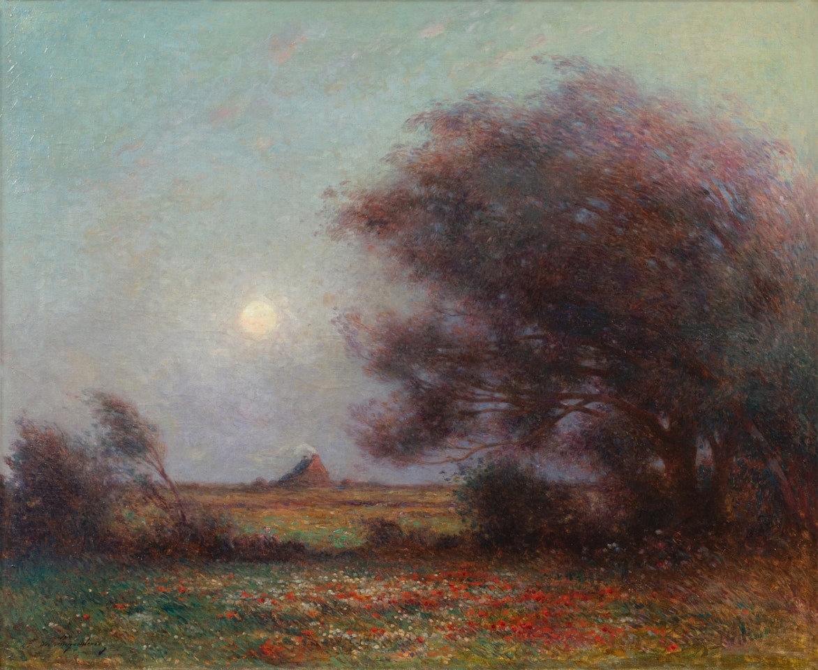 Soleil couchant sur la Brière by Ferdinand du Puigaudeau