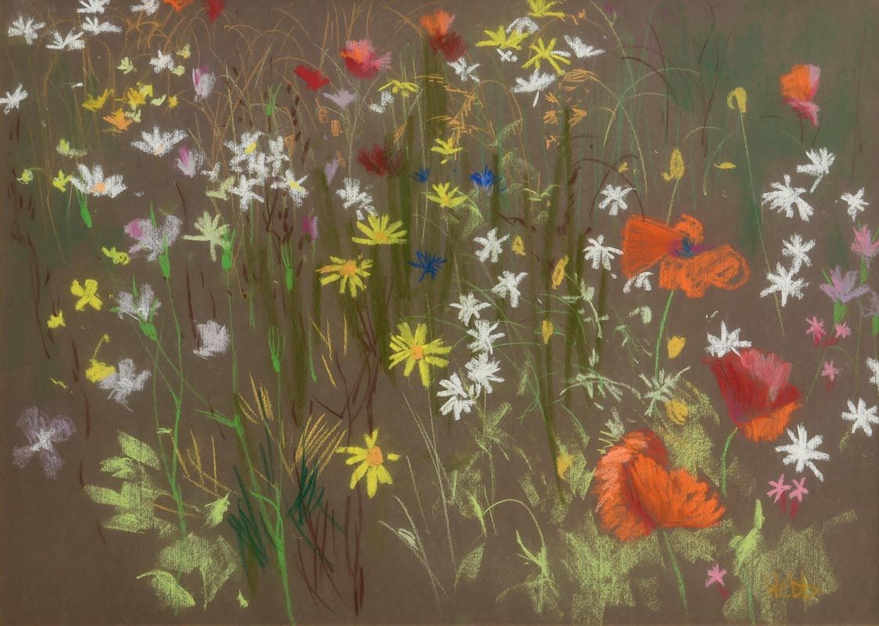 Wild Flower Meadow by Kenneth Webb