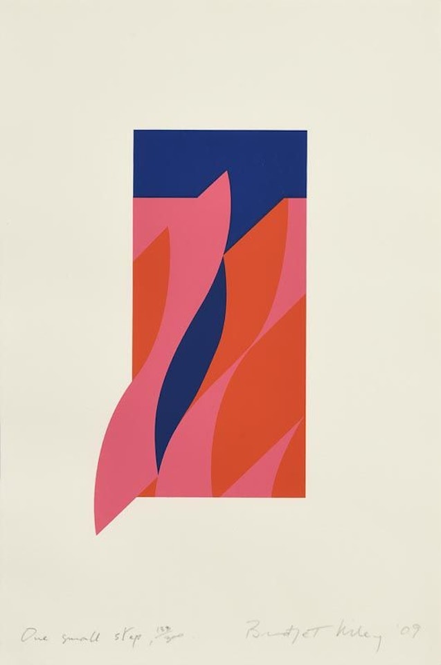 One Small Step by Bridget Riley