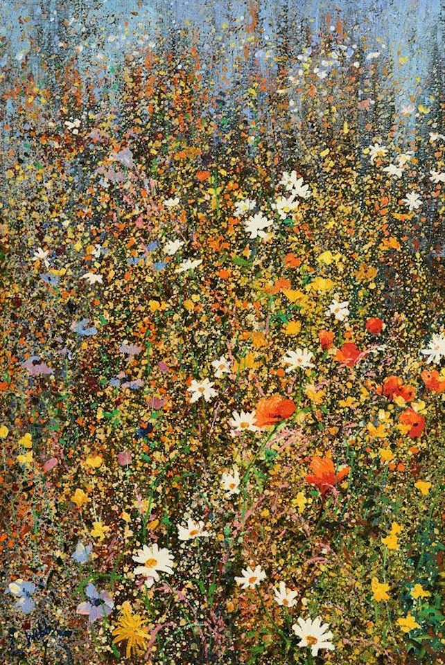 Poppies in a Meadow by Kenneth Webb