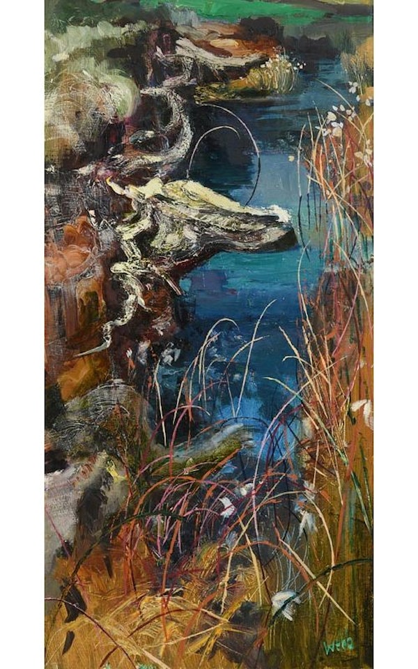 Spring Bog by Kenneth Webb