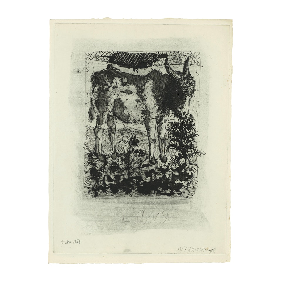 L'âne, from from Histoire naturelle: Eaux-fortes originales pour des textes de Buffon (Donkey, from Natural History: Original Etchings for Texts by Buffon) (4 works) by Pablo Picasso