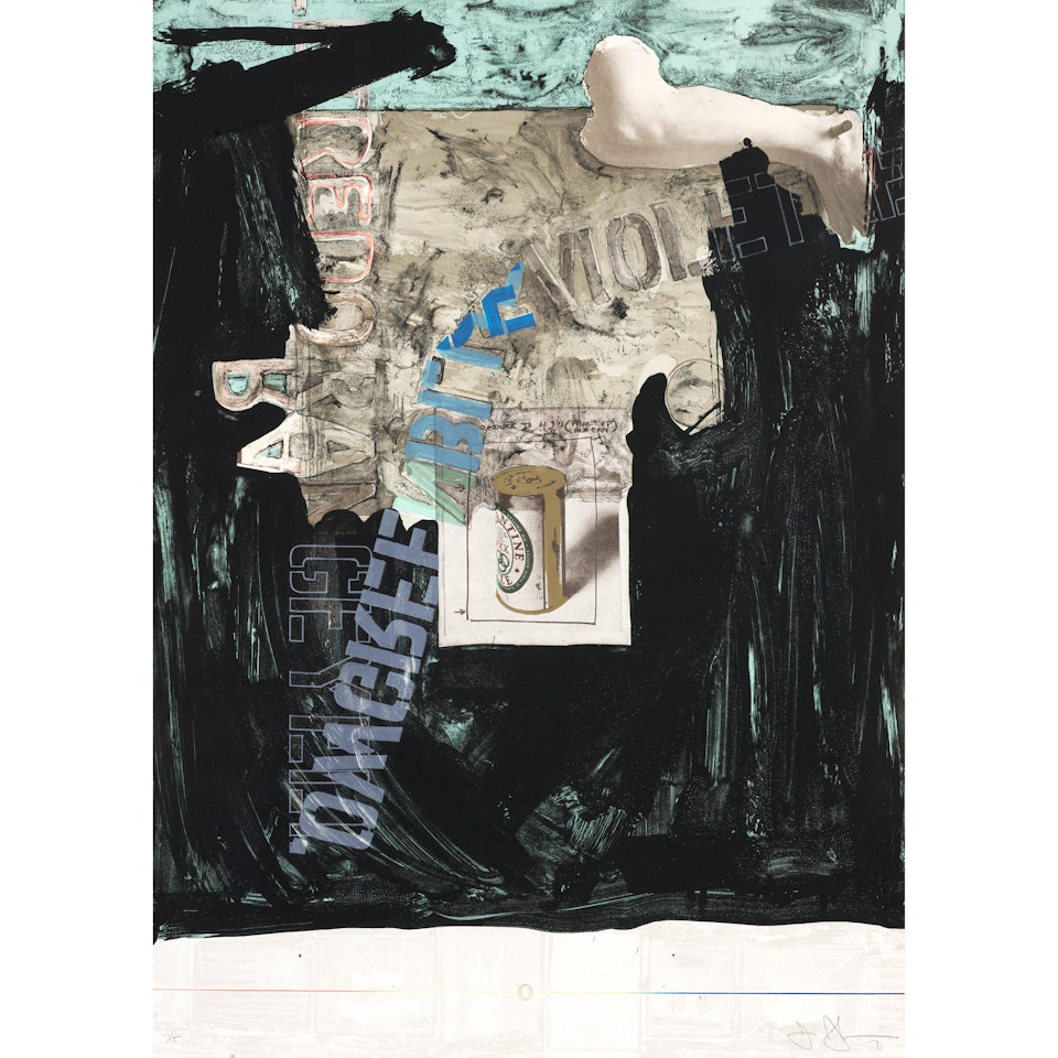 Decoy by Jasper Johns