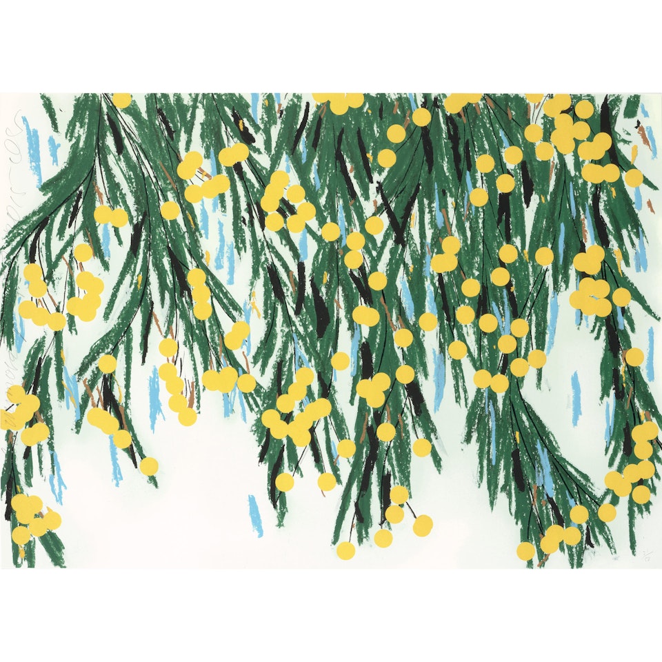 Yellow Mimosas by Donald Sultan