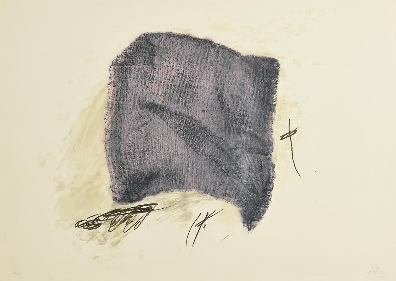 La Serpilliere by Antoni Tapies