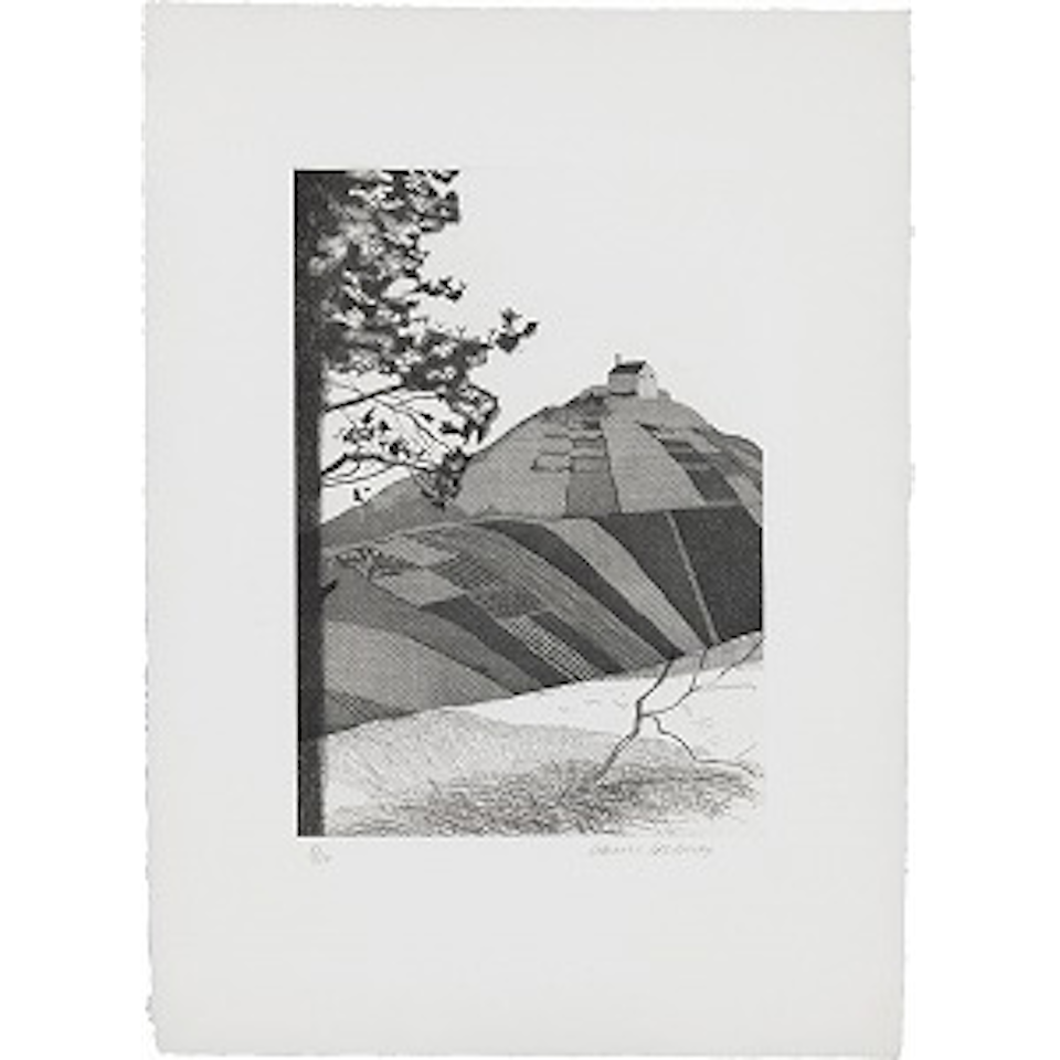 A Wooded Landscape, 6 (M.C.A.T. 72) by David Hockney