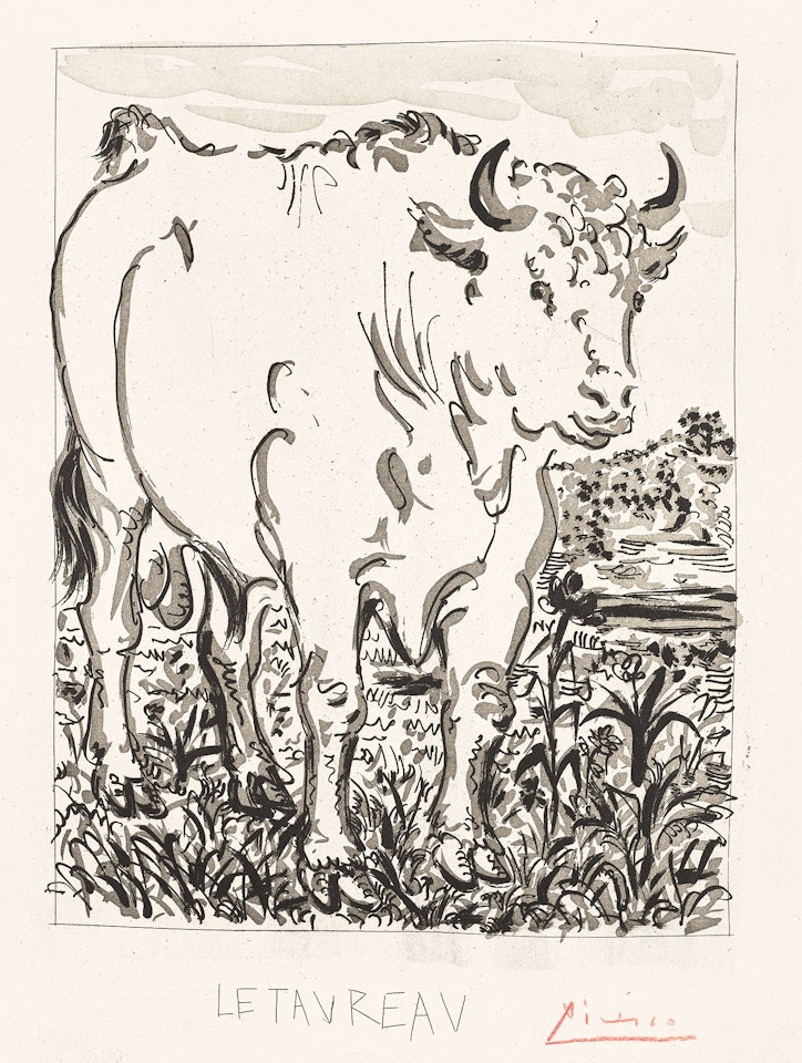 Le Taureau, from Histoire Naturelle 'Eaux-fortes originales pour les textes de Buffon' (The Bull, from Natrual History 'Original Etchings for Texts by Buffon') (Bl. 330, Ba. 577, see C. bks 37) by Pablo Picasso