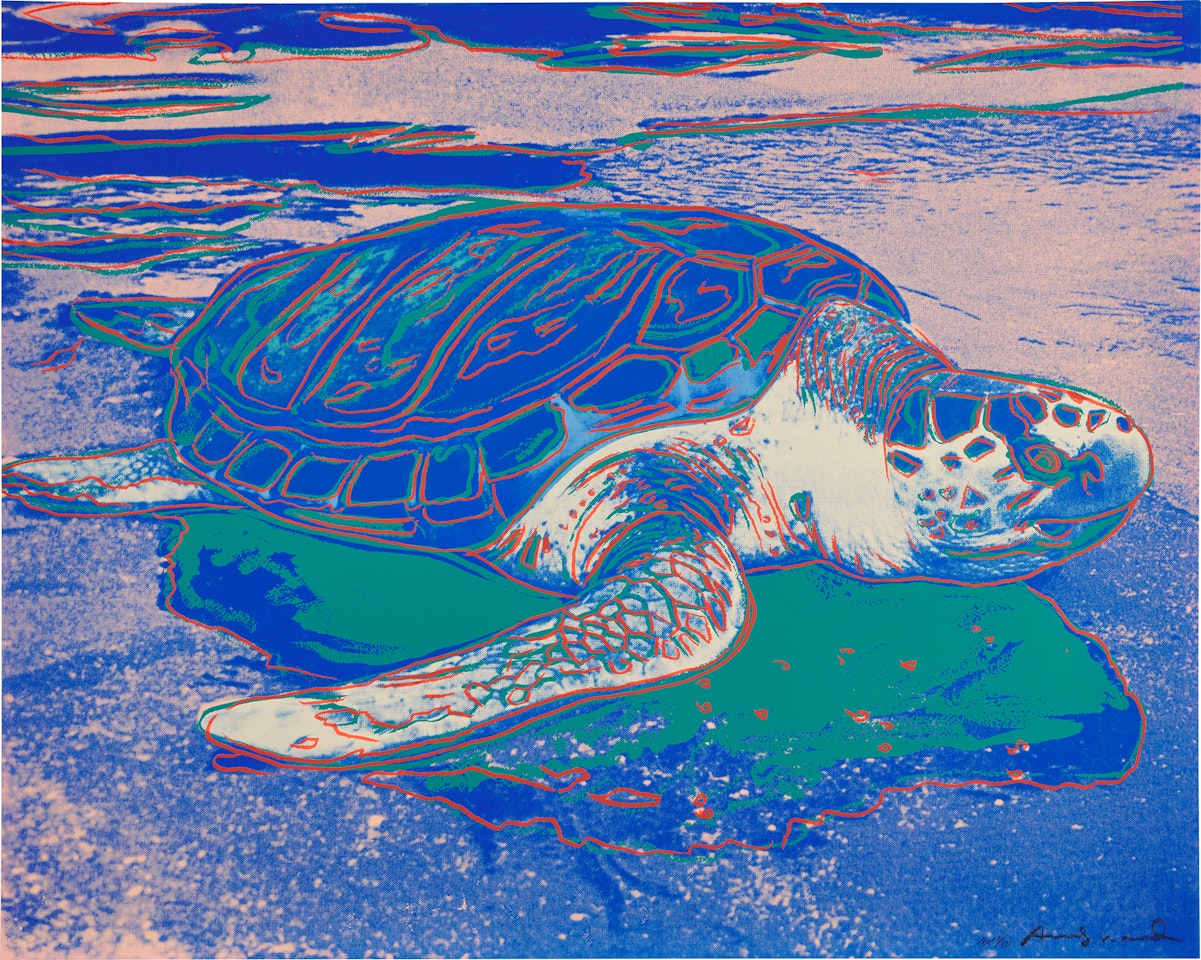 Turtle (F. & S. 360A) by Andy Warhol