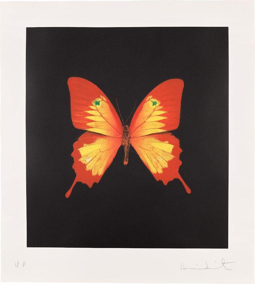Red, Yellow Swallowtail and green spots by Damien Hirst