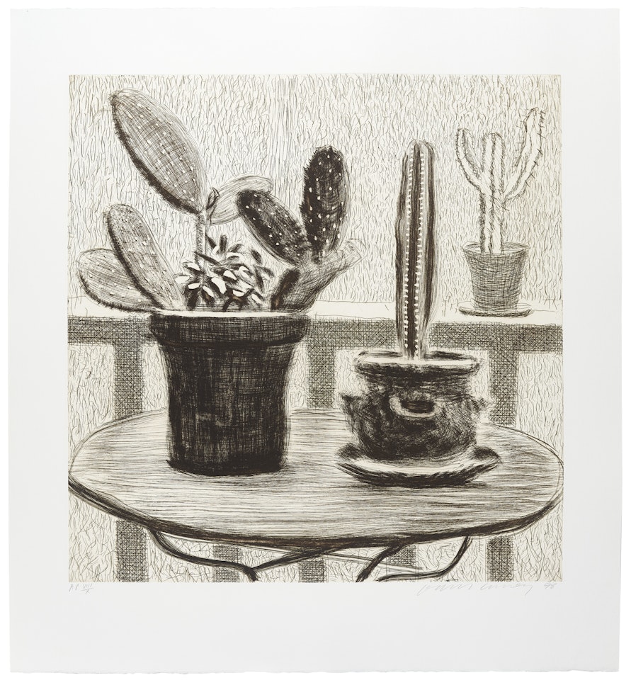 Cacti on Terrace by David Hockney