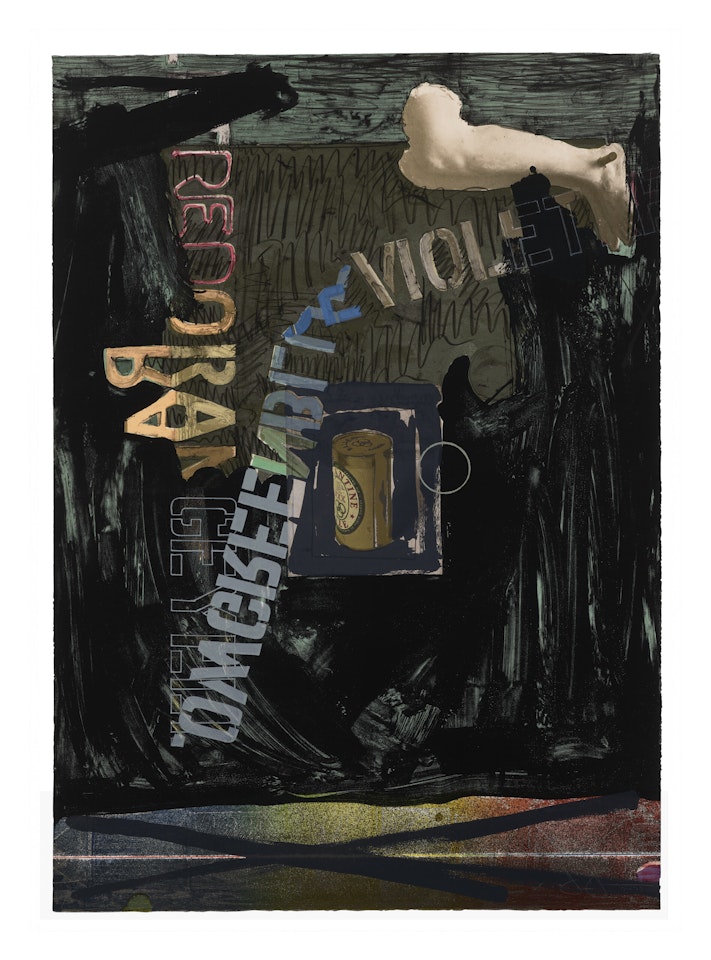 Decoy II by Jasper Johns