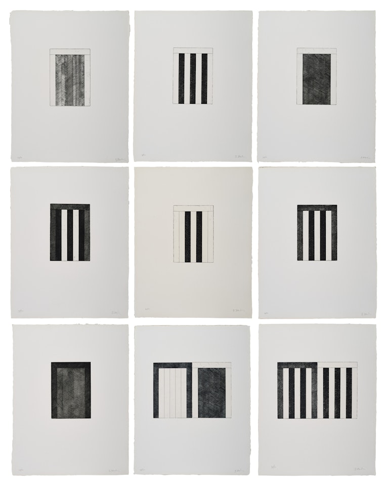 12 Views for Caroline Tatyana by Brice Marden