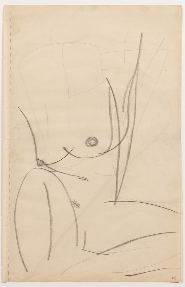 Torse de femme légèrement tourné vers la droite, les jambes repliées by Amedeo Modigliani