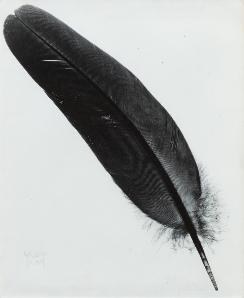 Plume (Feather) by Man Ray