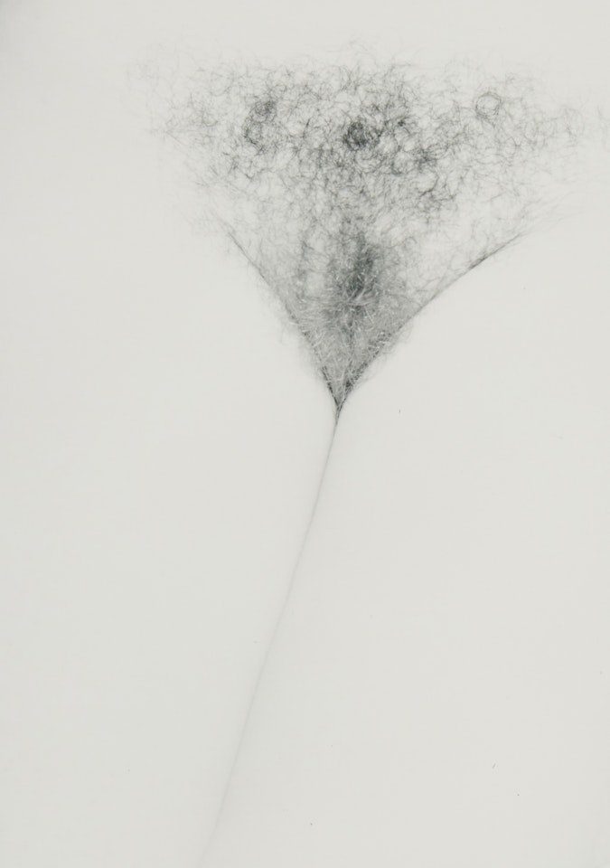 Eleanor, Chicago by Harry Callahan