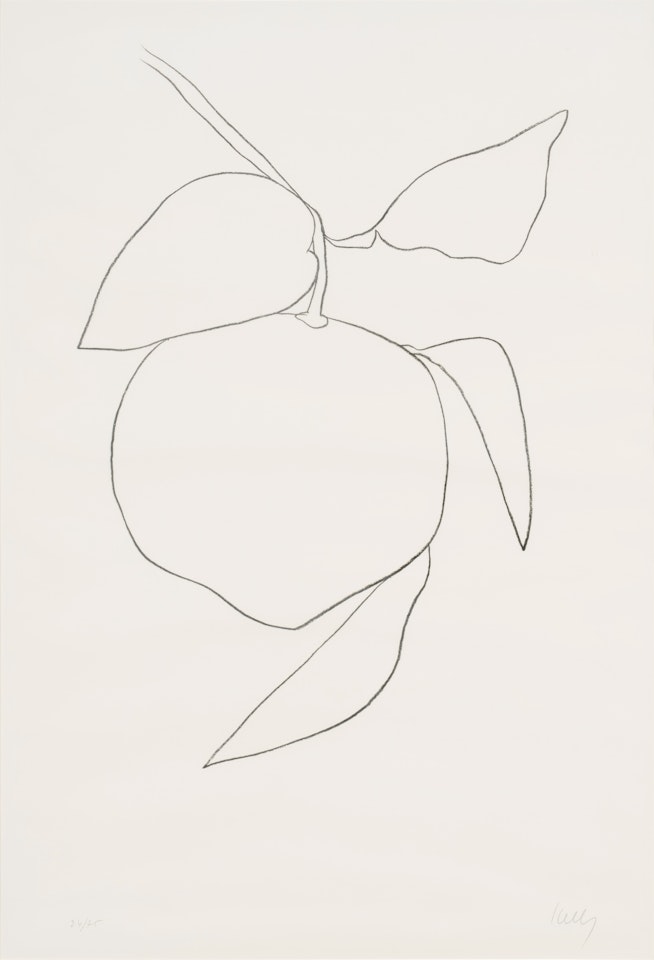 Grapefruit (Pamplemousse), from Suite of Plant Lithographs (A. 34) by Ellsworth Kelly