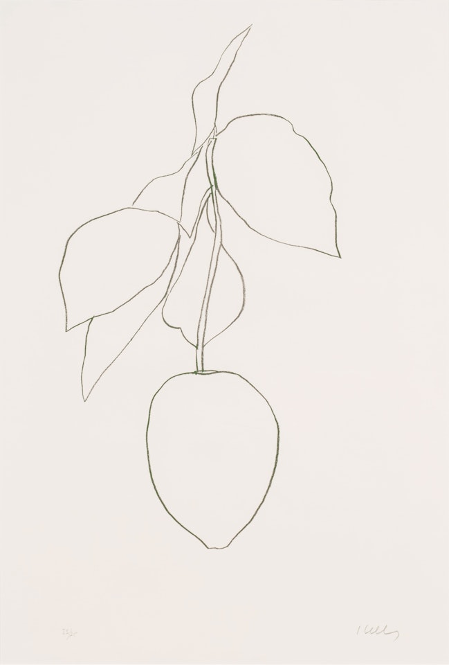 Lemon (Citron) (A. 35) by Ellsworth Kelly