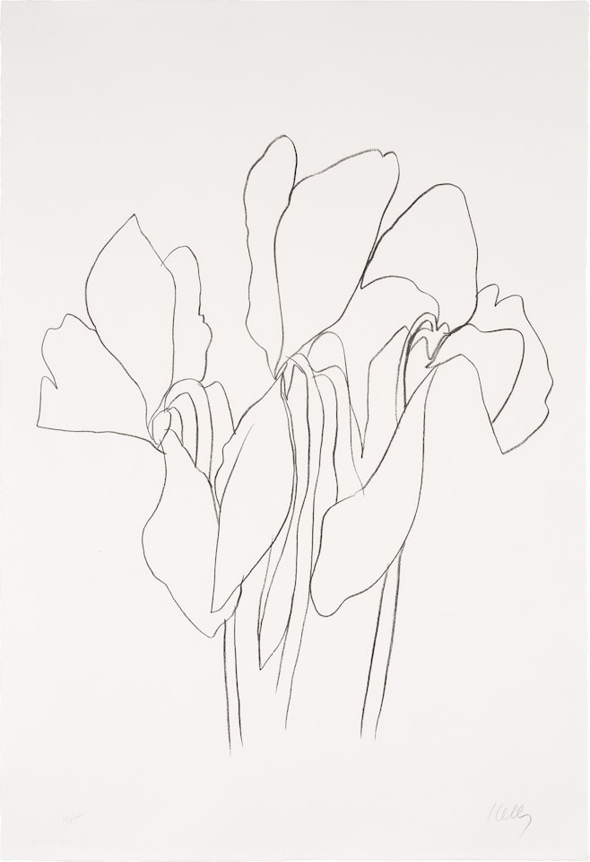 Cyclamen V, from Suite of Plant Lithographs (A. 40) by Ellsworth Kelly