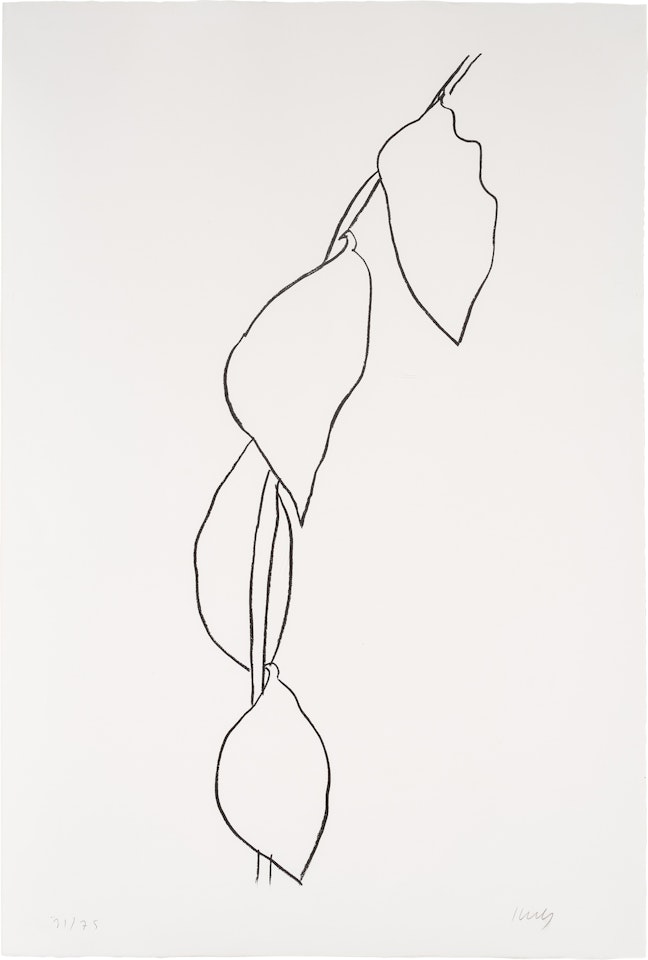 Lemon Branch (A. 57) by Ellsworth Kelly