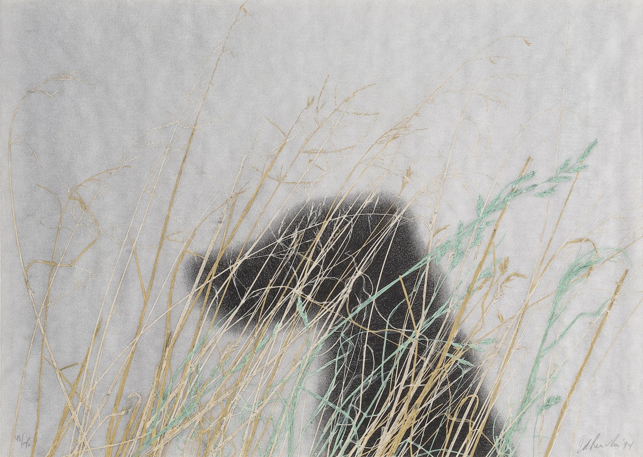 Dog (E. 222) by Ed Ruscha