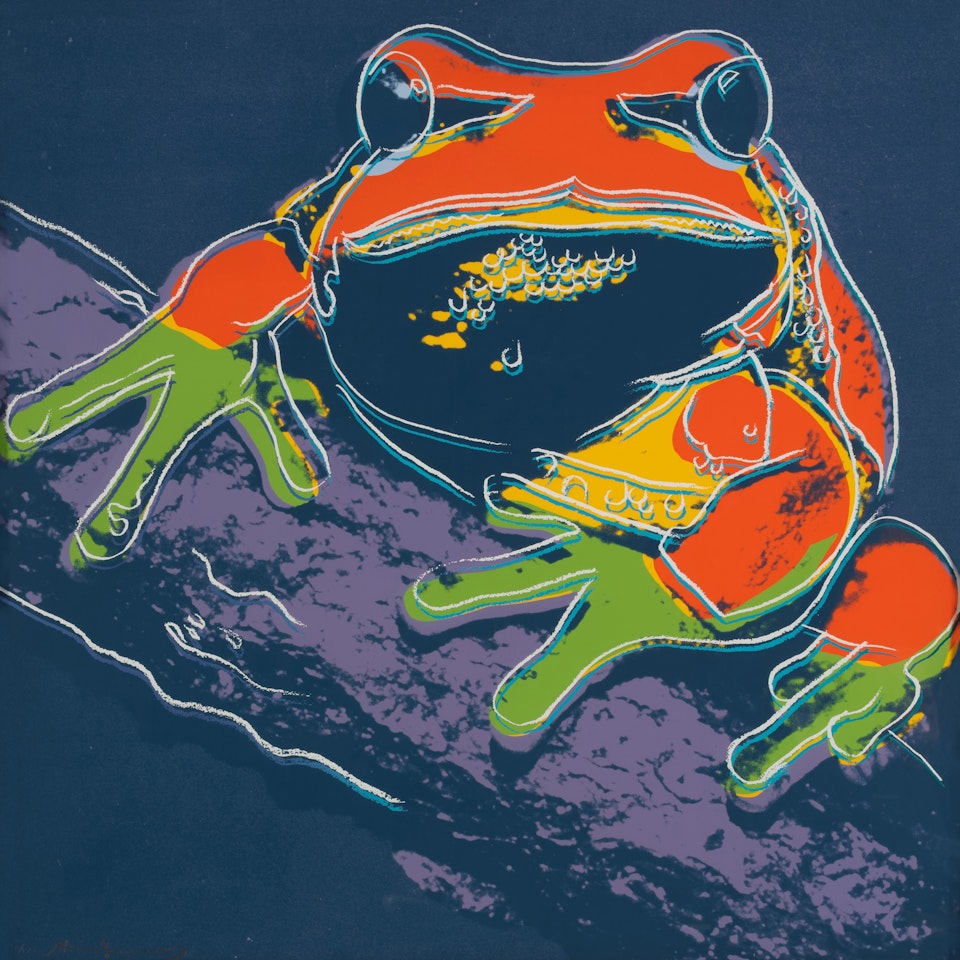 Pine Barrens Tree Frog, from Endangered Species (F. & S. II.294) by Andy Warhol